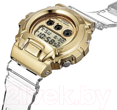 Часы наручные мужские Casio GM-6900SG-9E