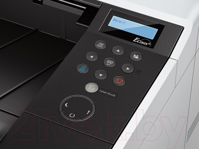 Принтер Kyocera Mita Ecosys P2040dn