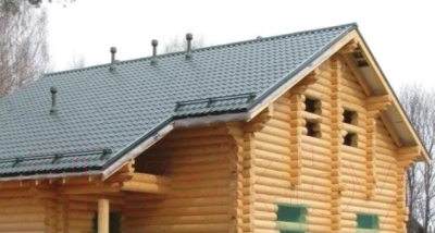 Колпак для вентиляционного выхода Технониколь D110 RR