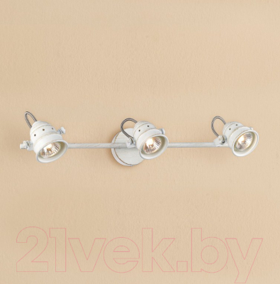 Спот Citilux Веймар CL537532