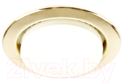 Точечный светильник General Lighting GCL-10GX53-H38-G / 689180 - фото