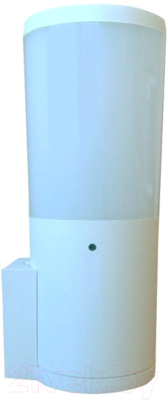 Бра уличное Fumagalli Amelia DR2.570.000.WYF1R - фото