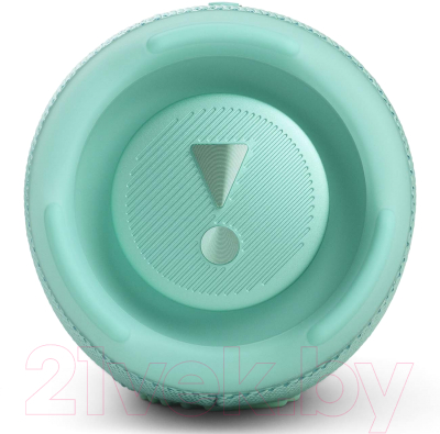 Портативная колонка JBL Charge 5