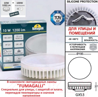 Бра уличное Fumagalli Elisa DS2.560.000.LXD1L