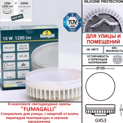 Светильник уличный Fumagalli Elisa DS2.561.000.AXD1L
