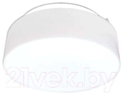 Светильник ЖКХ Элетех Таблетка НПО 22-2x60-210 / 1005150220 - фото