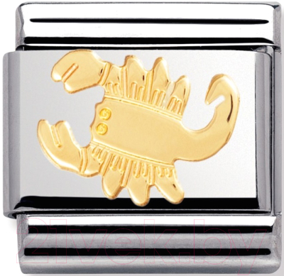 Звено для браслета NominatioN Знак зодиака Скорпион 030104/08 - фото