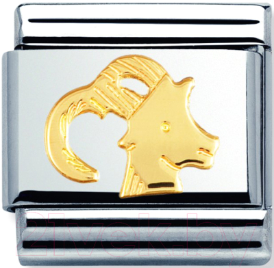 Звено для браслета NominatioN Знак зодиака Козерог 030104/10 - фото