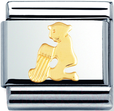 Звено для браслета NominatioN Знак зодиака Водолей 030104/11 - фото