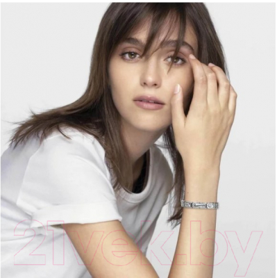 Звено для браслета NominatioN Доллар 330101/31