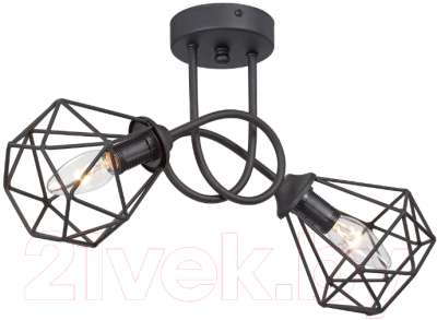 Потолочный светильник Vitaluce V4930-1/2PL - фото