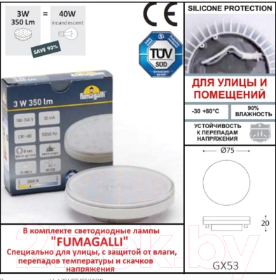 Светильник уличный Fumagalli Leti 2S4.000.000.WYG1L