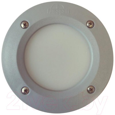 Светильник уличный Fumagalli Leti 2C1.000.000.LYG1L - фото