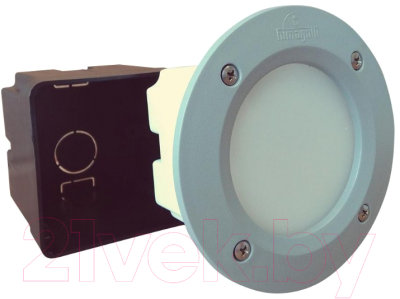 Светильник уличный Fumagalli Leti 2C1.000.000.LYG1L