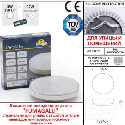 Светильник уличный Fumagalli Leti 3C3.000.000.WYG1L