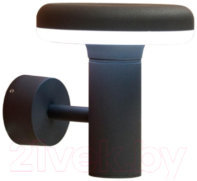 Бра уличное Citilux CLU01W - фото