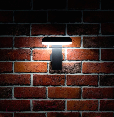 Бра уличное Citilux CLU01W