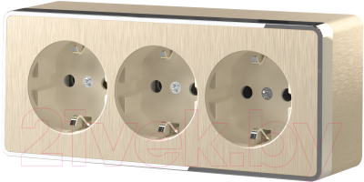 Розетка Werkel Gallant W5073110 / a052594 - фото