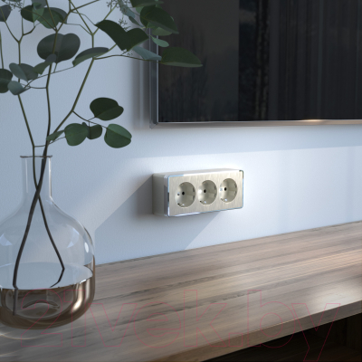 Розетка Werkel Gallant W5073110 / a052594