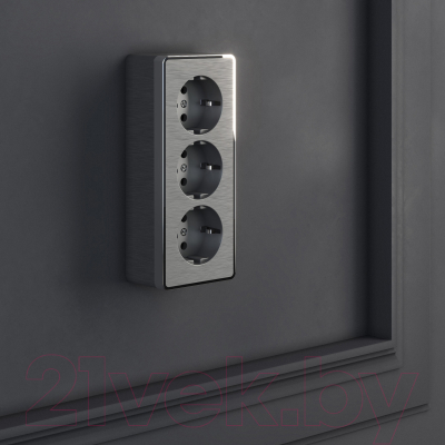 Розетка Werkel Gallant W5073104 / a052595