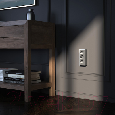 Розетка Werkel Gallant W5073104 / a052595