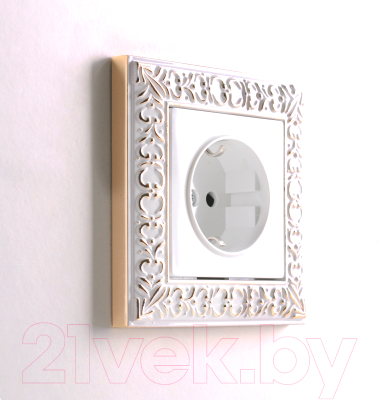 Розетка Werkel W1171301 / a051108