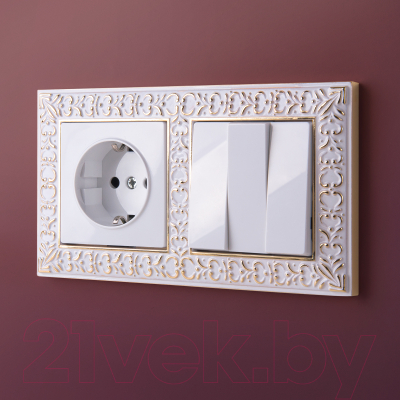 Розетка Werkel W1171301 / a051108