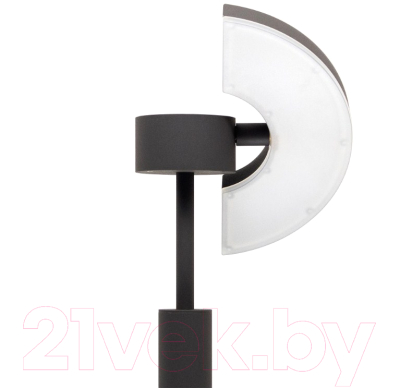 Светильник уличный Citilux CLU03B1