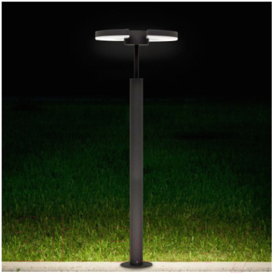 Светильник уличный Citilux CLU03B2