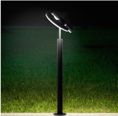 Светильник уличный Citilux CLU03B2