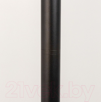 Фонарь уличный Citilux CLU04B