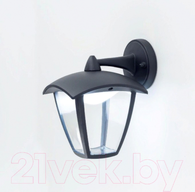 Бра уличное Citilux CLU04W2