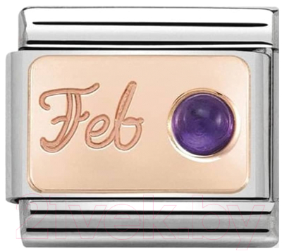 Звено для браслета NominatioN Февраль 430508/02 - фото