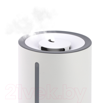 Ультразвуковой увлажнитель воздуха Vitek VT-2346