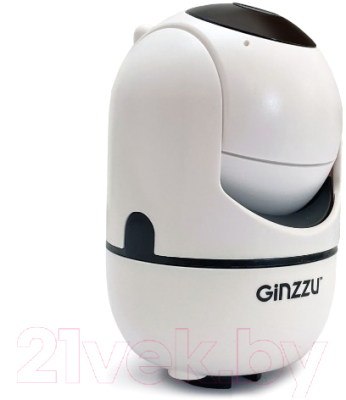 IP-камера Ginzzu HWD-2302A