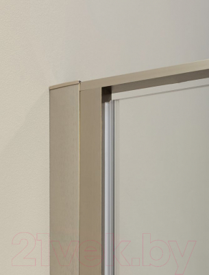 Душевая дверь Allen Brau Priority 3.31002.BA / 252373