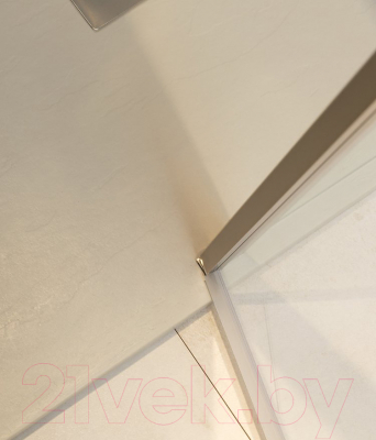 Душевая дверь Allen Brau Priority 3.31002.BA / 252373