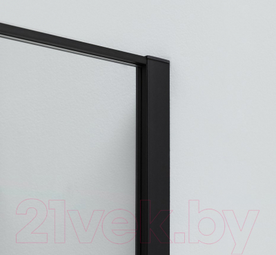 Душевая дверь Allen Brau Priority 3.31003.BBA / 252372