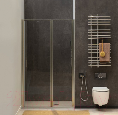 Душевая дверь Allen Brau Priority 3.31005.BA / 252370