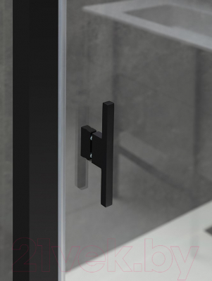 Душевая дверь Allen Brau Priority 3.31006.BBA / 252369