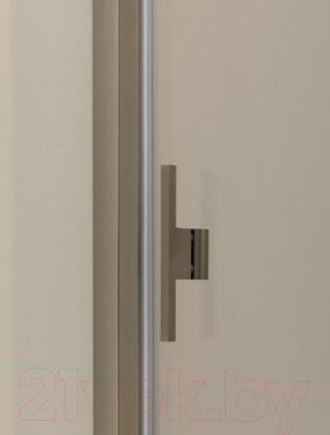 Душевая дверь Allen Brau Priority 3.31008.BA / 256516