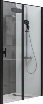 Душевая дверь Allen Brau Priority 3.31009.BBA / 256517 - фото