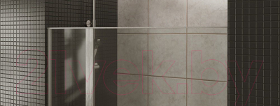 Душевая дверь Allen Brau Priority 3.31010.00 / 256518