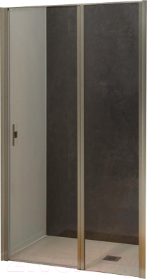 Душевая дверь Allen Brau Priority 3.31011.BA / 256519 - фото