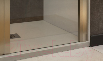 Душевая дверь Allen Brau Priority 3.31011.BA / 256519