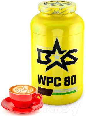 Протеин Binasport ВиПиСи 80 - фото