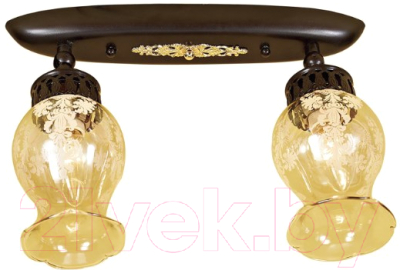 Спот Citilux Метафора CL413121 - фото
