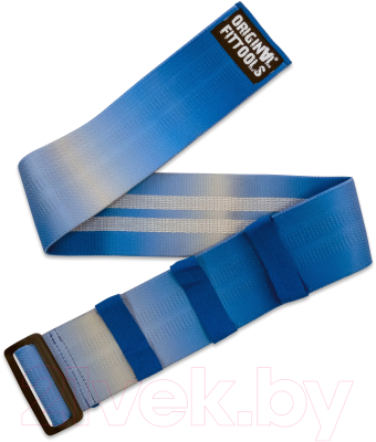 Эспандер Original FitTools FT-HIPBND-BLG - фото