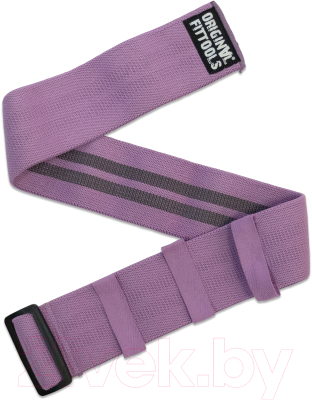 Эспандер Original FitTools FT-HIPBND-PP - фото