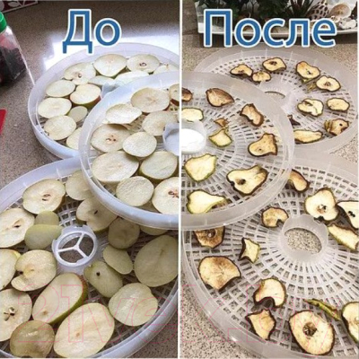 Сушилка для овощей и фруктов ЭлБЭТ EFD-320F-09